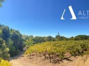 Parcela en San Javier