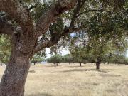 Parcela en San Pedro del Valle