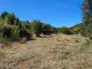 Parcela en Santa Elvira oportunidad