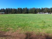 Parcela en Sector Niágara – Comuna de Vilcún