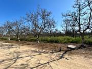 Parcela en Talagante