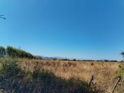 Parcela en Teno, Maule