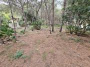 PARCELA EN URBANIZACION MONTORNES