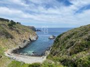 Parcela en Valparaíso