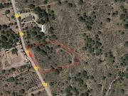 Parcela en venta. ALEDO