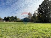 Parcela en venta, camino Villarrica a Loncoche