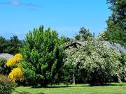 Parcela en venta con acogedora casa en Condominio Los...