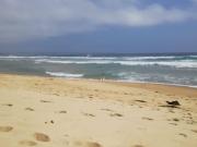 Parcela en venta de 5000m2 ubicado en Tunquén El Yeco