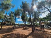 Parcela en venta. EL PARAíSO