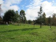 Parcela en Venta en 15 minutos de Osorno por la Ruta al Mar