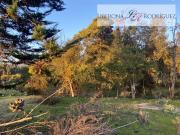Parcela en Venta en 7 hectáreas, orilla ruta F190, San...
