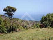 Parcela en Venta en A 900 MTS DE LA CALET A ESTAQUILLA...