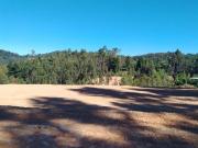 Parcela en Venta en A ocho minutos de la plaza de Hualqui