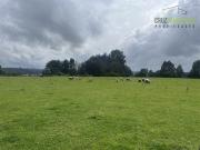 Parcela en Venta en A solo 1 km de Frutillar, salida a...