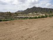 Parcela en venta en Abanilla, ABANILLA