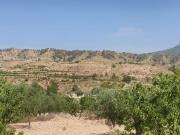 Parcela en venta en Abanilla, Macisvenda