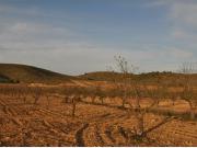 Parcela en Venta en Abanillas, Murcia