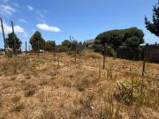 Parcela en venta en ALGARROBO