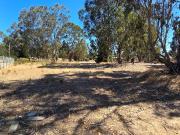 Parcela en venta en ALGARROBO