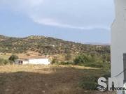 Parcela en venta en Algodonales Cádiz