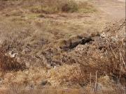 Parcela en venta en Almonte, Almonte Cuatro Caminos