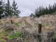 Parcela en Venta en Alto Colorado/ Hijuelas 2