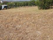 Parcela en venta en Arcos de la Frontera, El Romeral