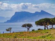 PARCELA EN VENTA EN BAHÍA DE LAS ROCAS SOTOGRANDE