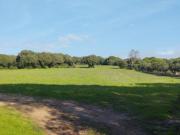 Parcela en venta en Barbate, El soto