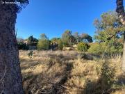 Parcela en Venta en Benidorm, Alicante