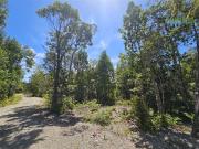 Parcela en Venta en Parcela en Puerto Varas. Bosques del...