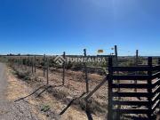 Parcela en Venta en Bucalemito