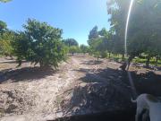 Parcela en venta en BUIN