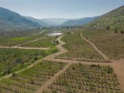 Parcela en venta en CABILDO