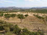 Parcela en venta en Calasparra Murcia