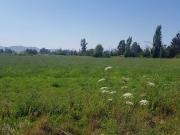 Parcela en venta en CALERA DE TANGO