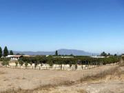 Parcela en Venta en Caletera Autopista del Sol Talagante