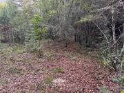 Parcela en Venta en Camino a Curarrehue