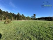 Parcela en Venta en Camino a Nueva Braunau