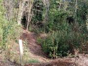 Parcela en Venta en Camino a Quilaco Km 4, Pucón