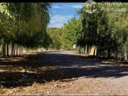 Parcela en Venta en camino a rauco