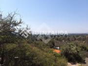 Parcela en Venta en Camino Aculeo / Champa