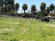 Parcela en Venta en Camino Alto Rumay