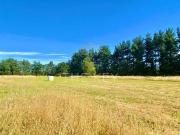 Parcela en Venta en Camino Freire Villarrica