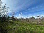 Parcela en Venta en CAMINO LA MONTAÑA DE TENO