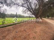 Parcela en Venta en Camino La Palma