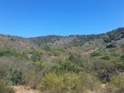 Parcela en Venta en Camino Lo Orozco Sector cruce Los...