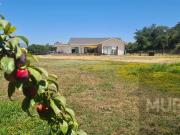 Parcela en Venta en Camino Loreto Lonquen Sur Balmaceda