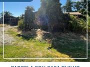 Parcela en Venta en CAMINO QUILVO