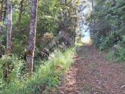 Parcela en Venta en Camino Subiabre